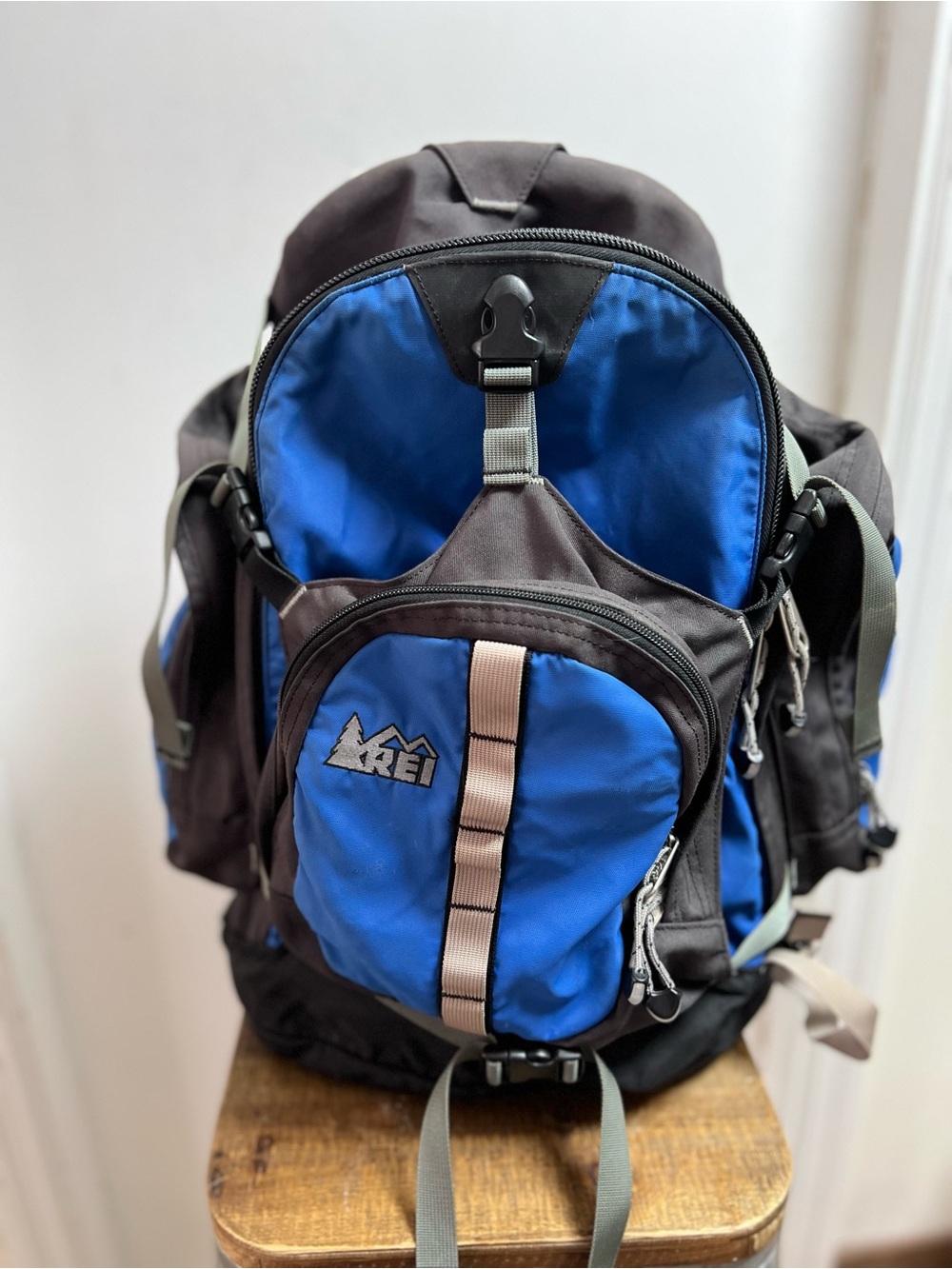REI Alpine Blue and Gray Outdoor Backpack